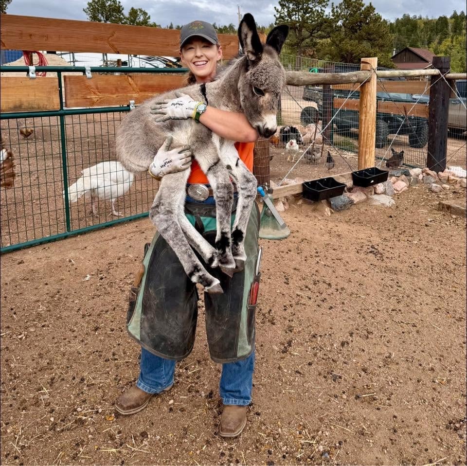 CK Hoof Care, Farrier & Hoof Care Partner at Silver Stables Ranch